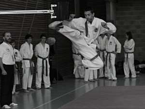 017_foto